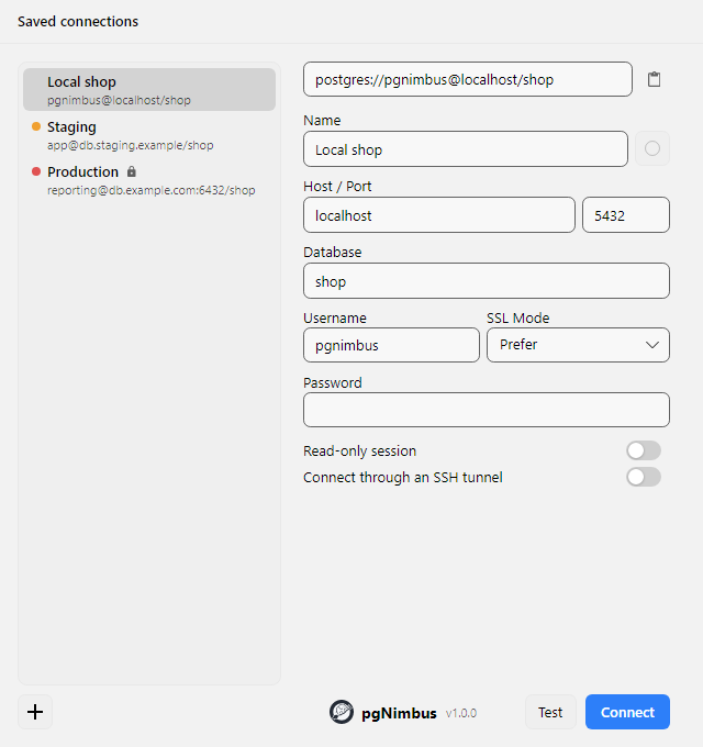 The connection dialog, with saved profiles on the left and the paste-anything import box at the top