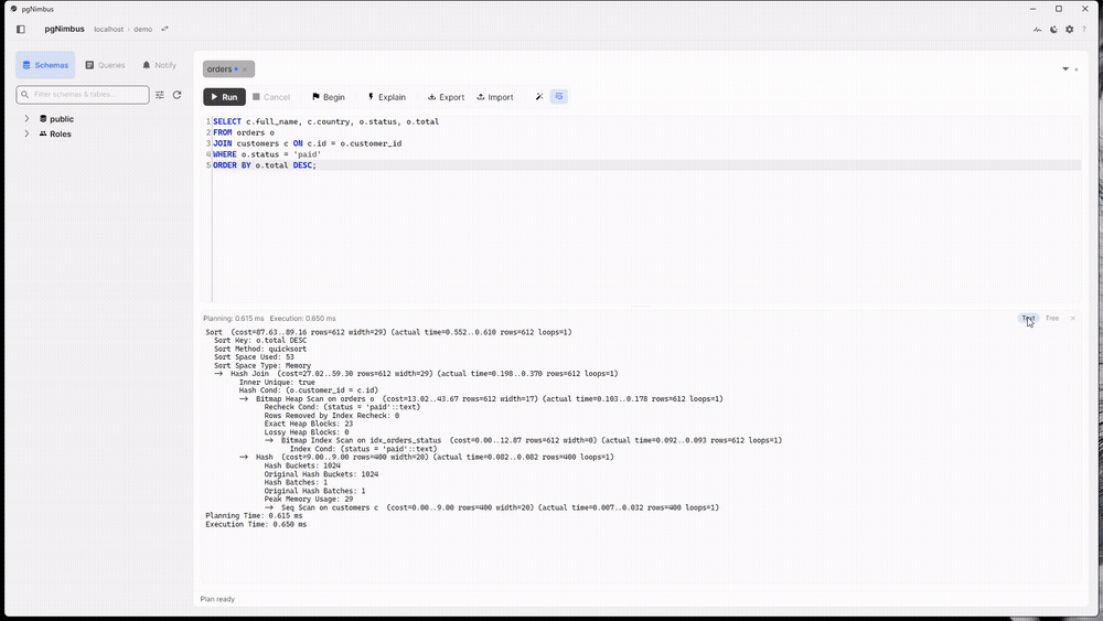 Raw EXPLAIN ANALYZE text next to the plan tree pgNimbus renders from it, with per-node cost and actual timing